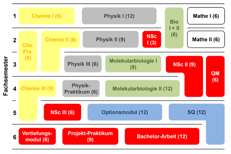 Semesterplan für das Studium im Bachelor