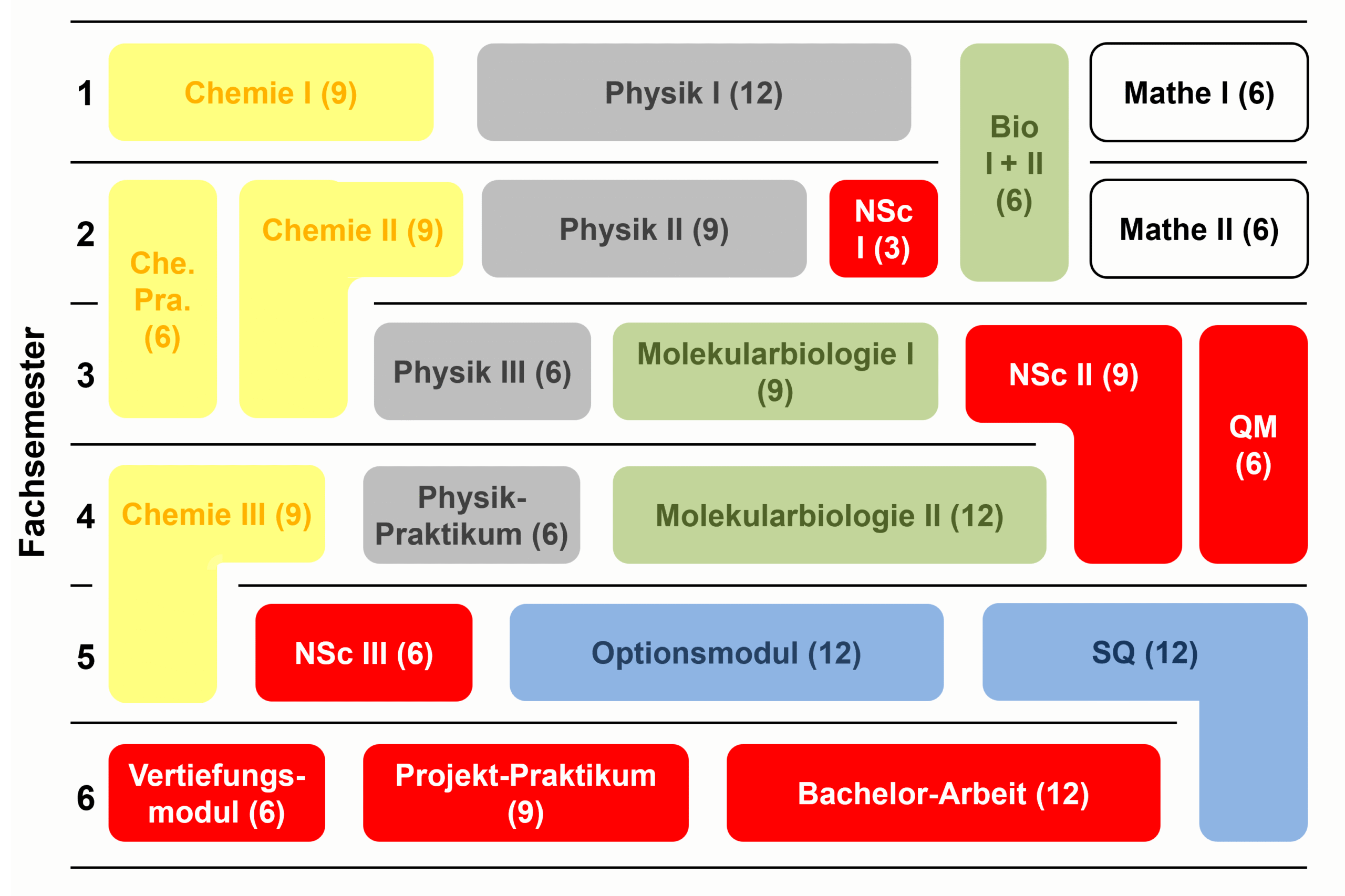 Semesterplan für das Studium im Bachelor